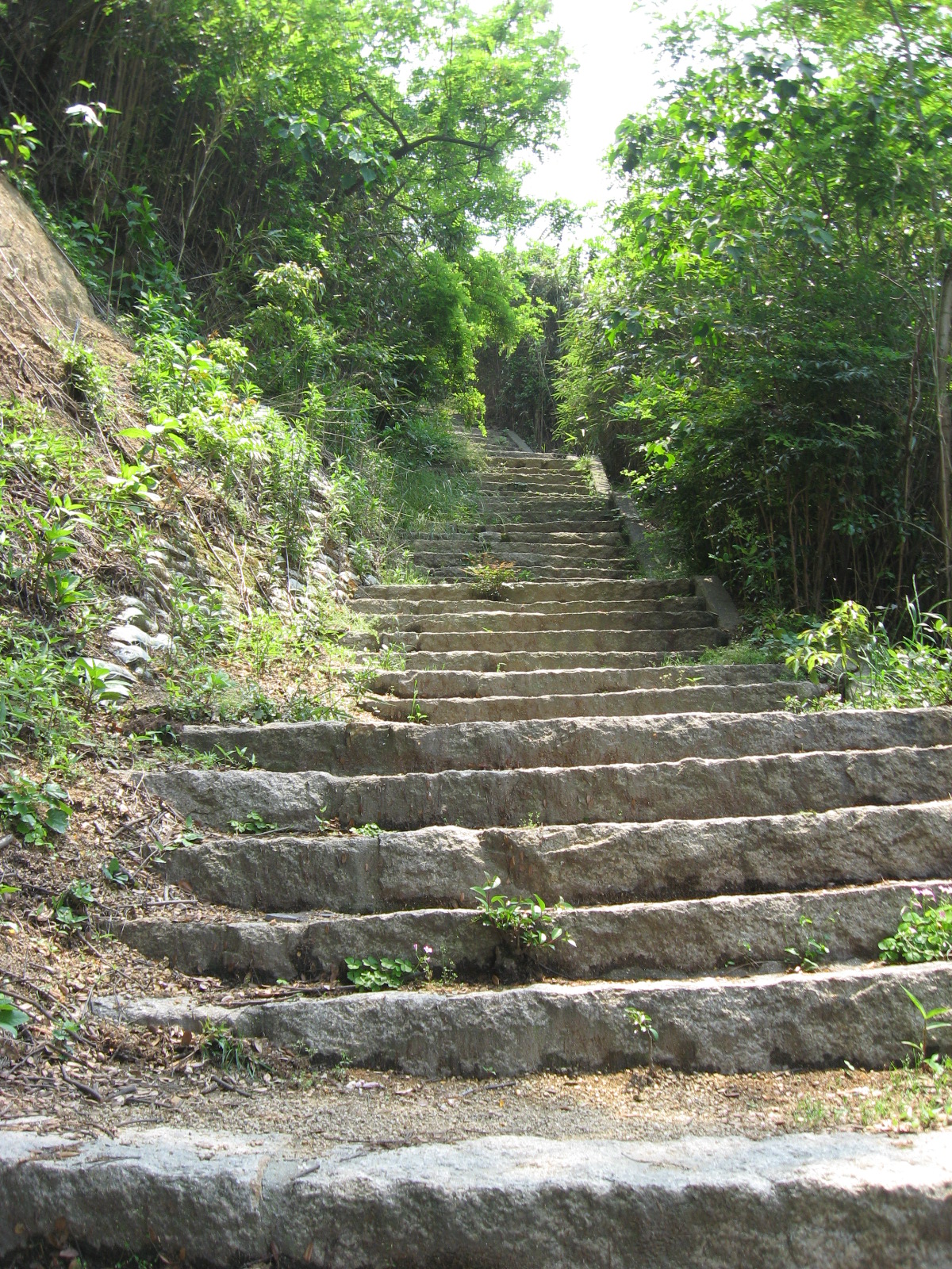 Not-So-Simple Questions for Fantasy Fiction